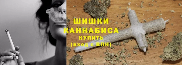ALPHA PVP Рославль