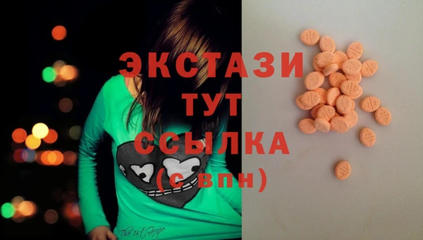 гашик Гусев