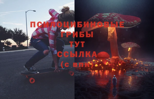 ALPHA PVP Рославль