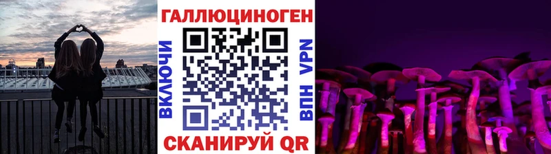 Псилоцибиновые грибы Cubensis Дубна